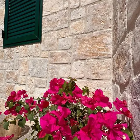 Sani Apartment
